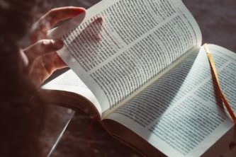 心悦辽宁麻将开挂神器软件通用版